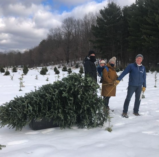 Christmas Tree Farms See Surge in Traffic from Households Tired of Being Stuck at Home